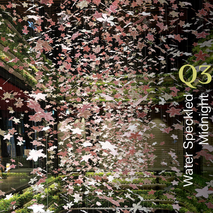 Water Speckled Midnight
by Q3