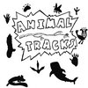 Animal Tracks Cover Art
