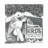 Bird's Amazing Odyssey & The Meaning of Tea Cover Art