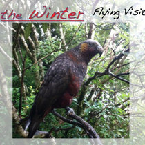 Flying Visit (2012) cover art