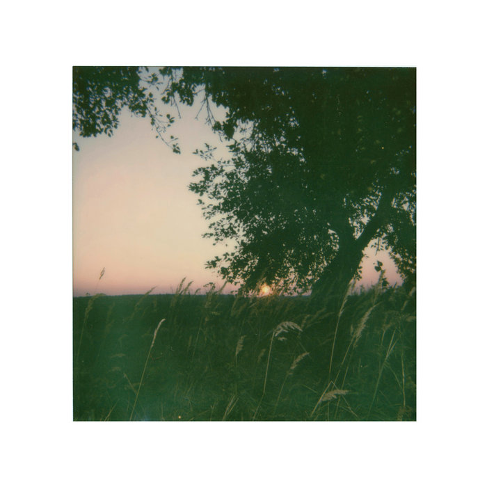 Rain falls on the leaves of the vine... Pasha Isachenko