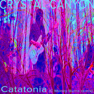 Catatonia (C Money Burns Remix) cover