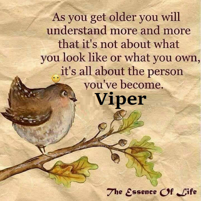 THE ESSENCE OF LIFE | Viper