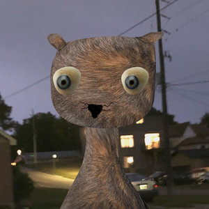 friendly catfriendly cat cover