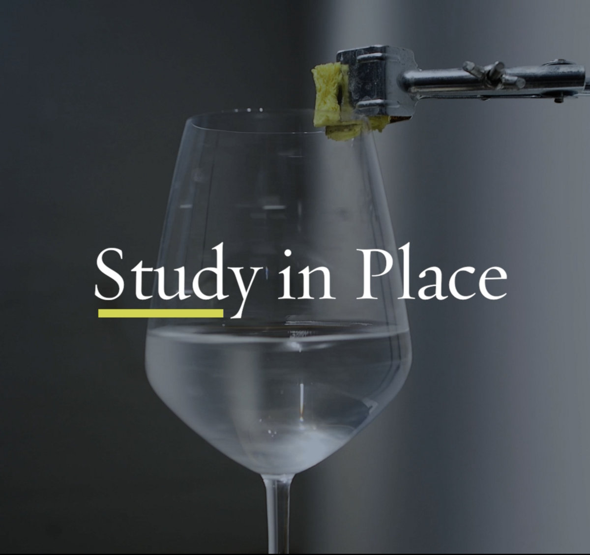 Study in Place Live | Rob Funkhouser