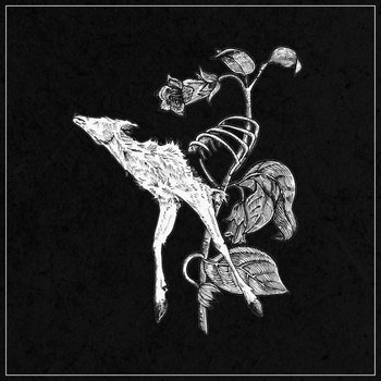 Music | Suicide Forest