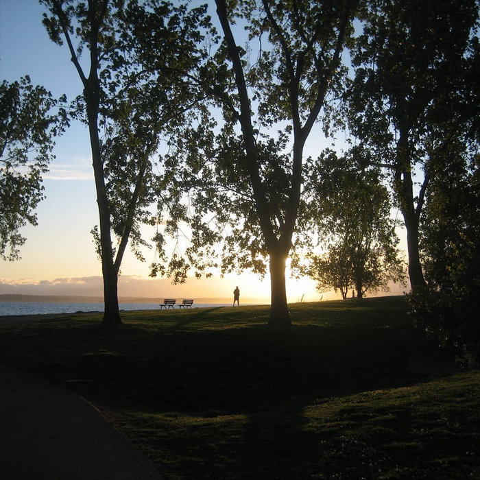 Living Breathing Mesita living breathing by mesita