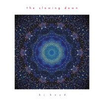 The Slowing Down cover art