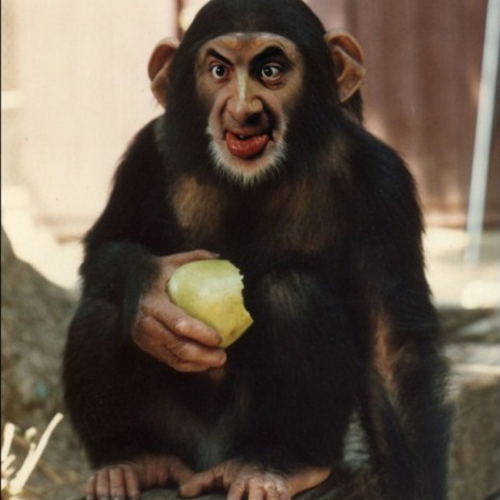 monkey-man-sirr