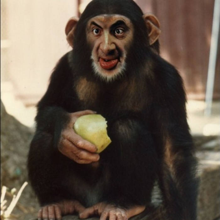 Do You Know The Monkey Man