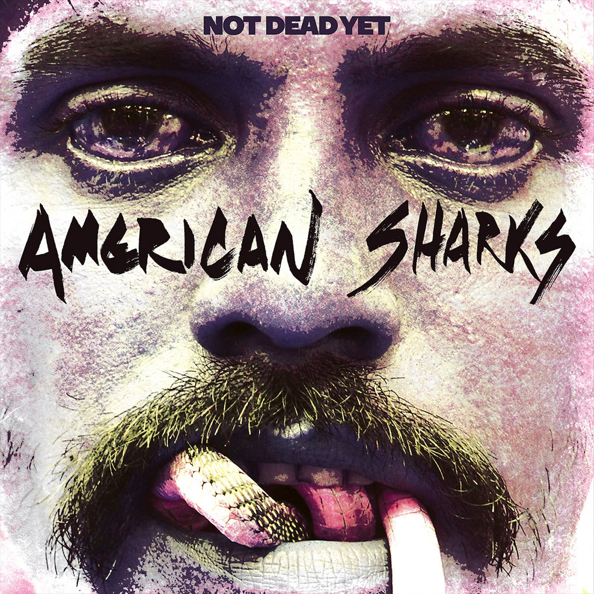 American Sharks — Not Dead Yet album cover