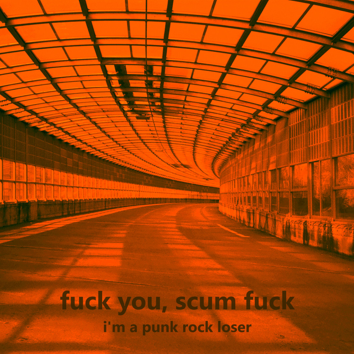 Fuck You, Scum Fuck – I’m A Punk Rock Loser