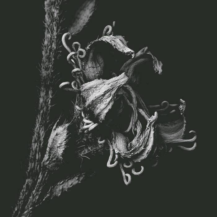 1982
von Yui Onodera