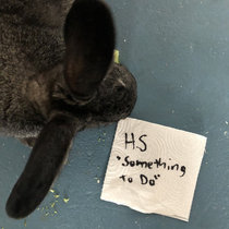 Something to Do cover art