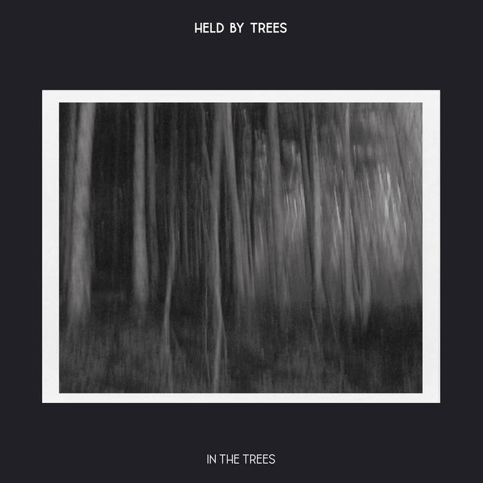 Music Held By Trees