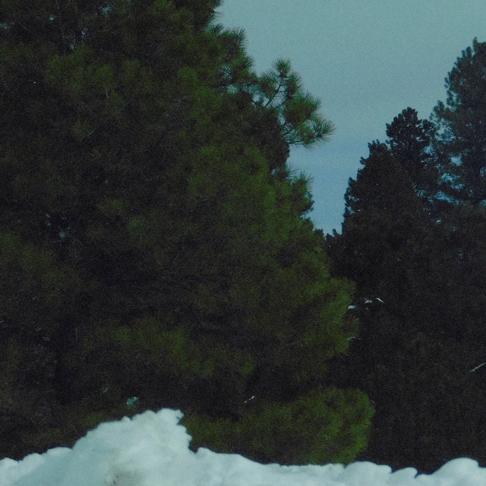 The Cold | David Lessenger
