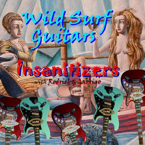 Insanitizers — Wild Surf Guitars