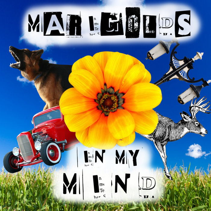 auto mp3 tag editor