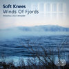 Winds Of Fjords (minomus 2022 remaster)