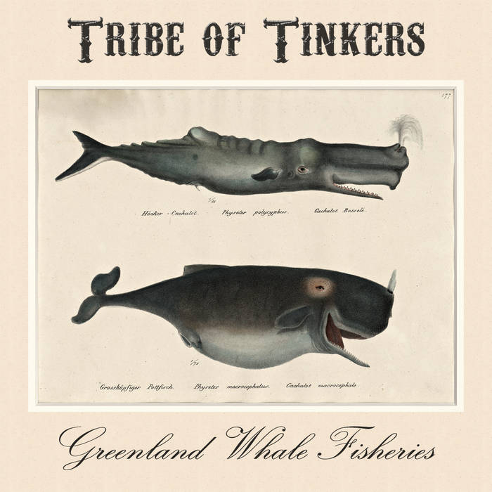 Greenland Whale Fisheries | Tribe Of Tinkers