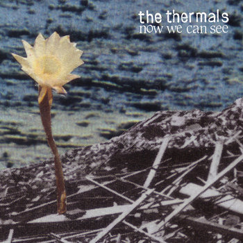 Now We Can See Single | The Thermals