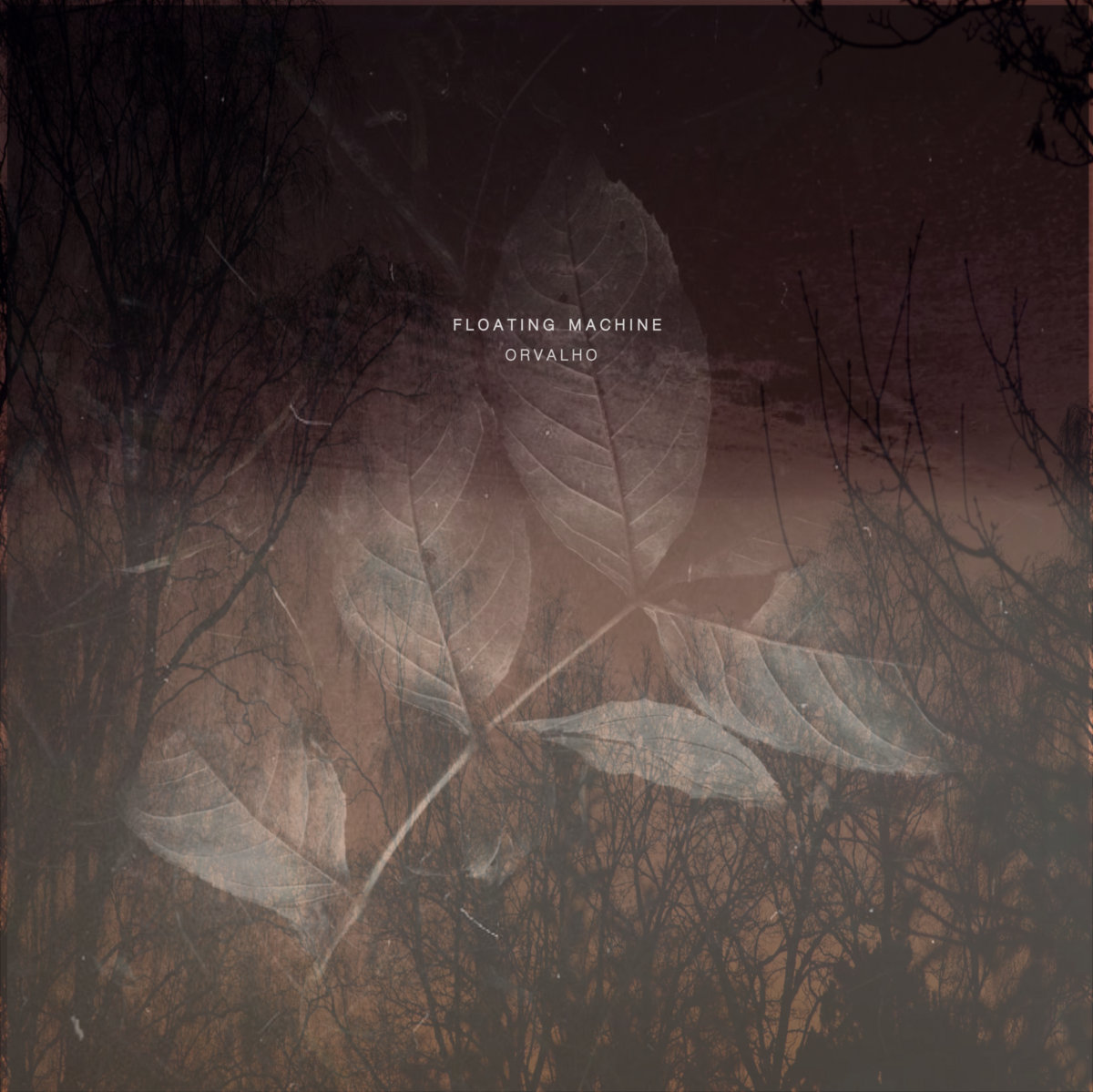 Orvalho (Circular Limited) album cover