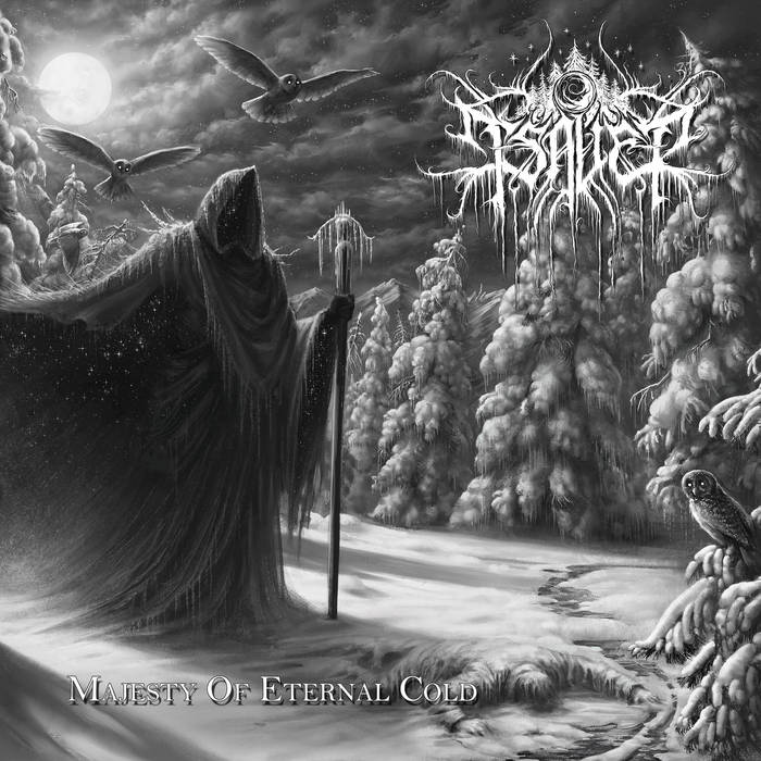 Majesty of Eternal Cold | TSAVER | Pesttanz Klangschmiede