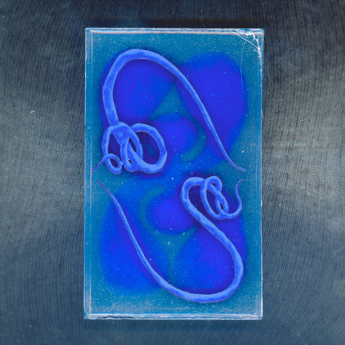 Lurched Purple (ii) | Twin System