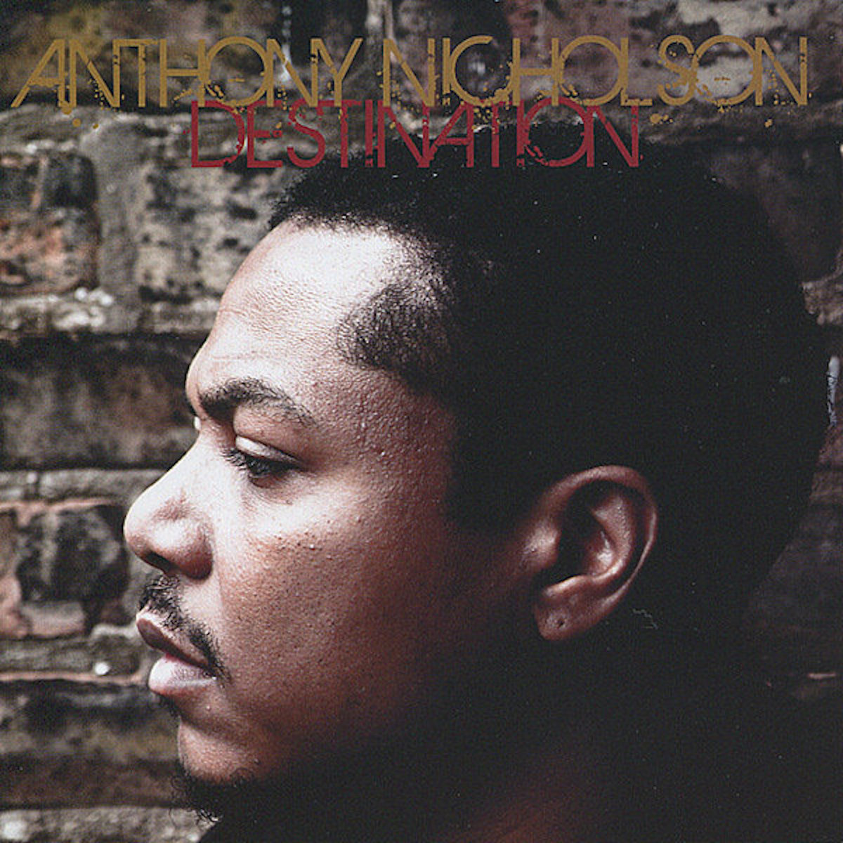Anthony Nicholson Voices Remixes EP 12/