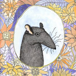 Caught In The Trap/Violet