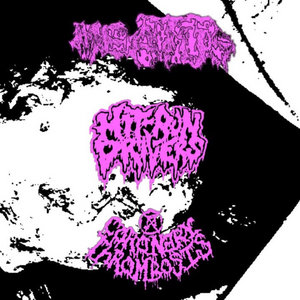 3 Way Split w/ Meatus / Hit-Run Drivers cover