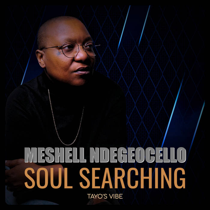 Meshell Ndegeocello - Soul Searching (Tayo's Vibe) | Tayo Wink
