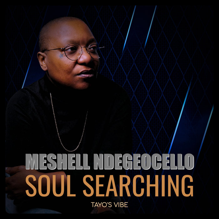Meshell Ndegeocello Soul R&B レコード Meshell Ndegeocello - Soul Searching (Tayo's Vibe) | Tayo Wink