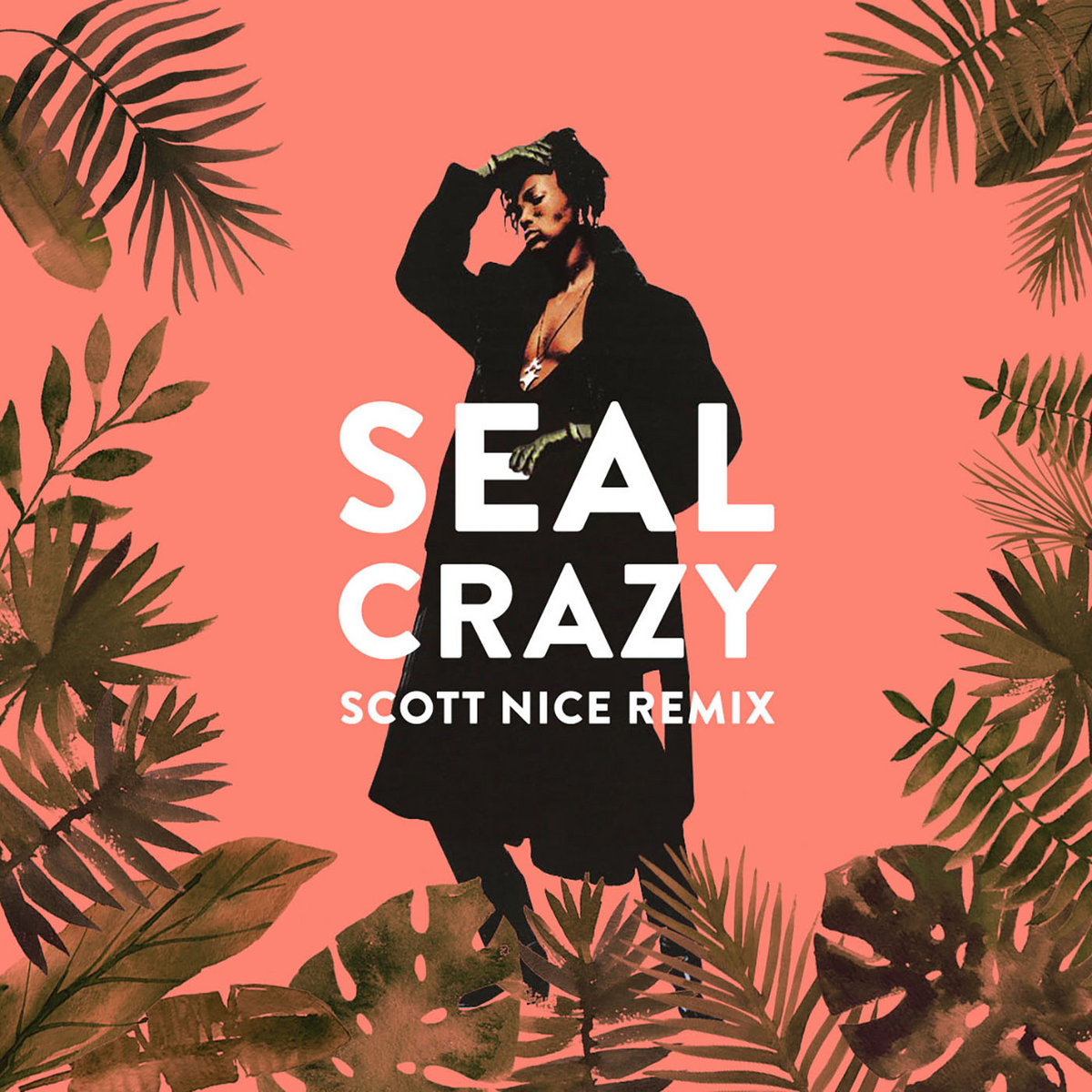Crazy Scott Nice Remix Scott Nice