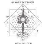 MC YOGI - Beginnings