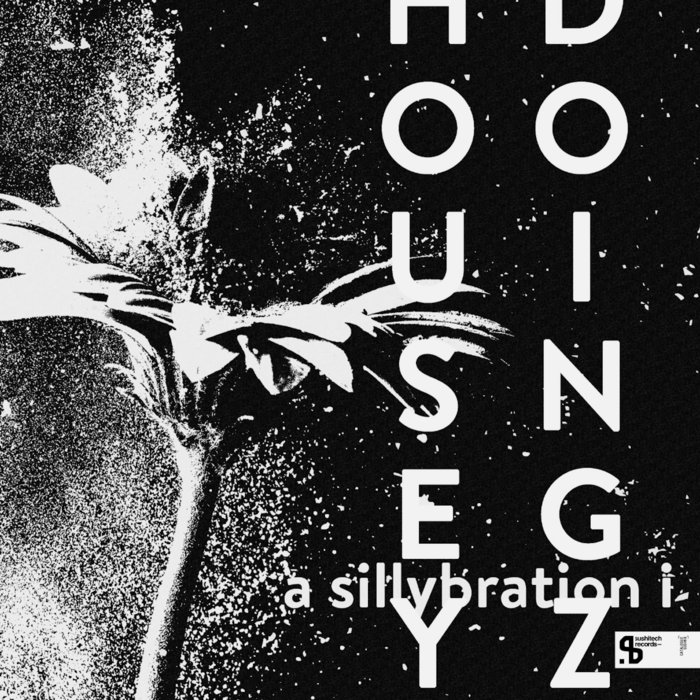 Pochette de Housey Doingz - A Sillybration par Housey Doingz