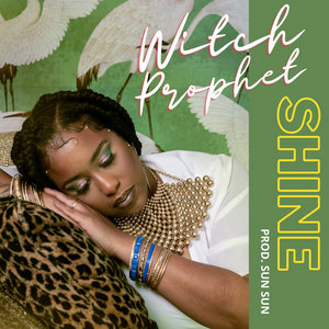 Shine cover