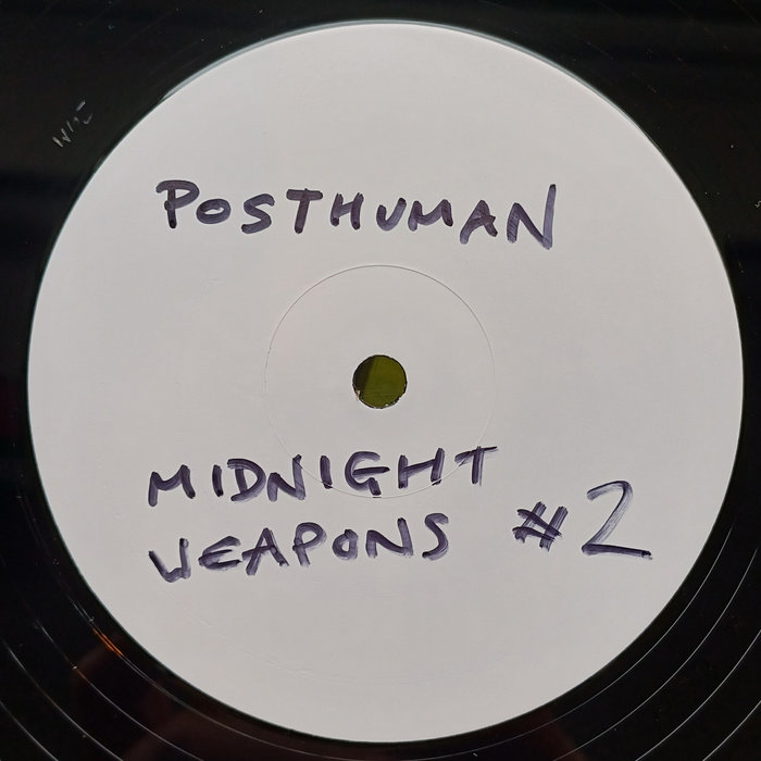 Midnight Weapons #2, by Posthuman