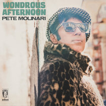 Wondrous Afternoon cover art