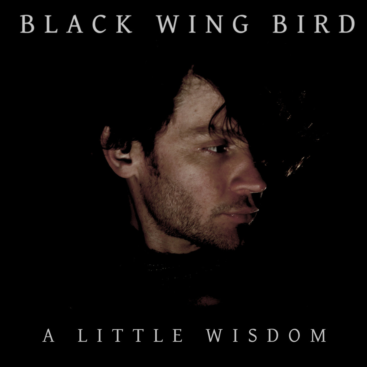 A Little Wisdom cover