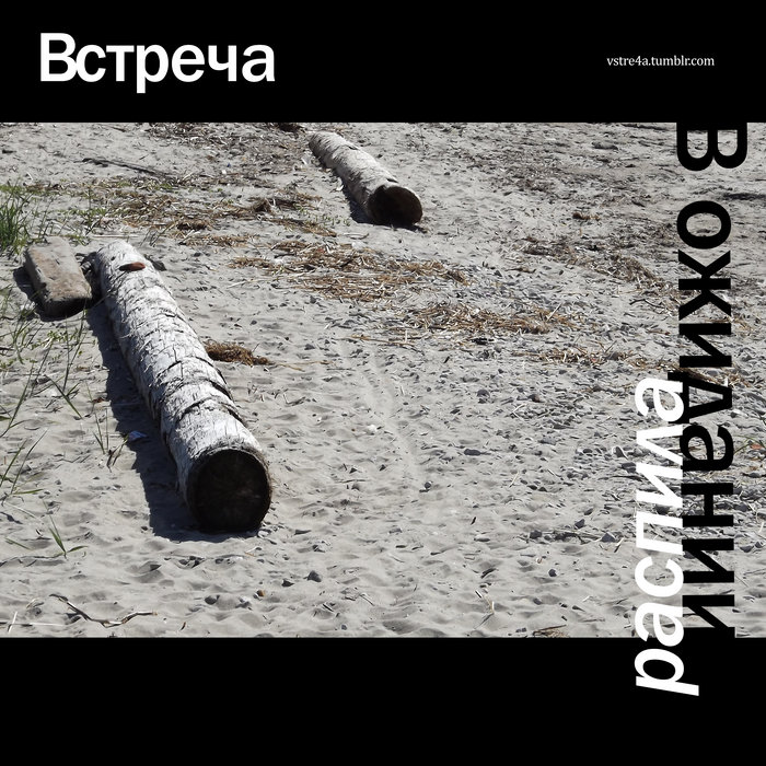 В ожидании распила | Vstrecha