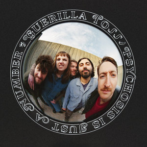 Guerilla Toss — Psychosis Is Just a Number