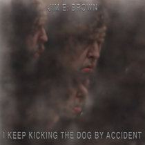 I Keep Kicking the Dog by Accident cover art