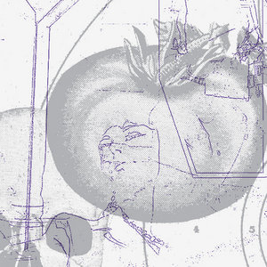 Electric GardenSissy Spacek/Smegma cover