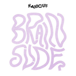 Brainslide cover