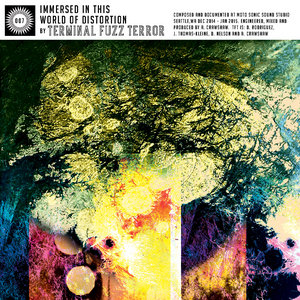Immersed In This World Of Distortion cover