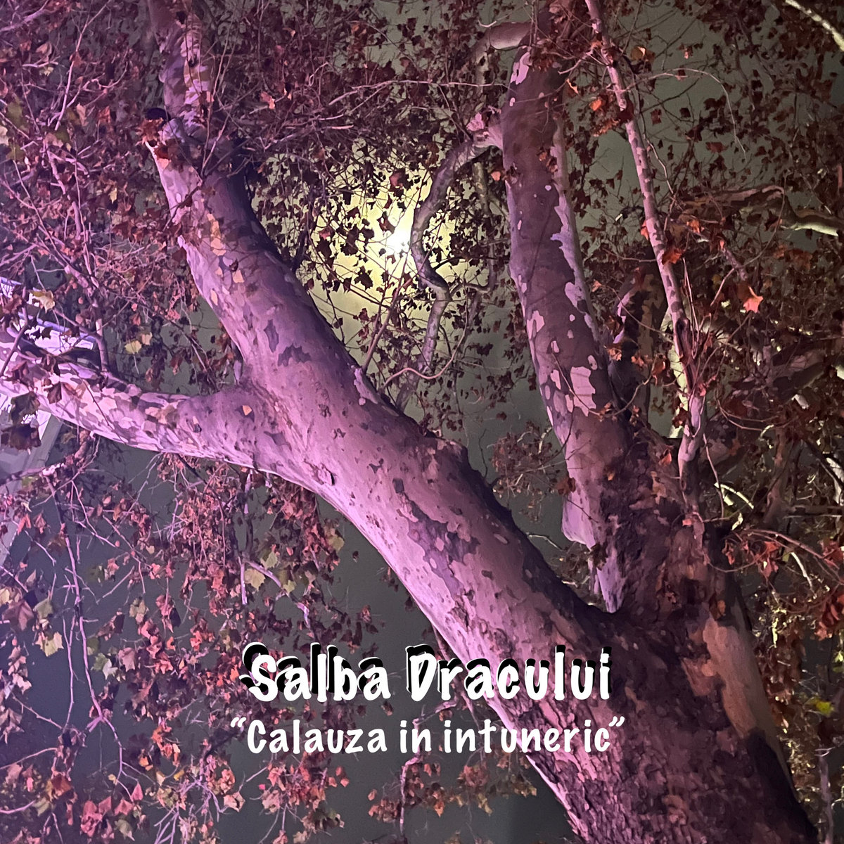 Calauza in intuneric | Salba Dracului
