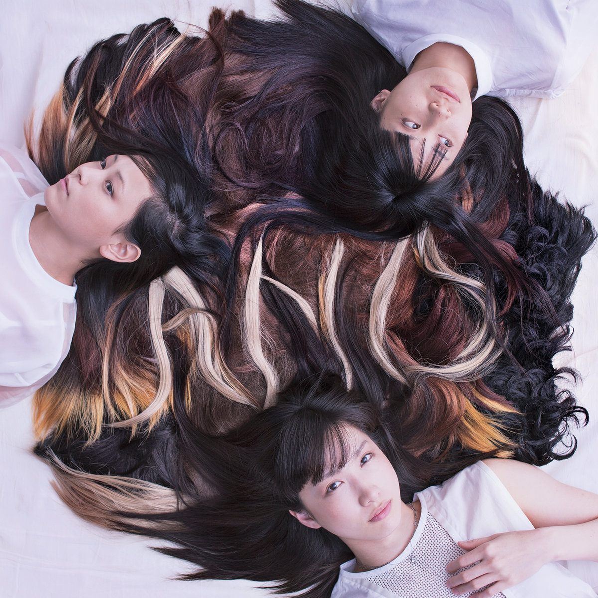 A N D Tricot Topshelf Records