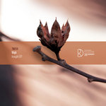 Insight EP [TN059]