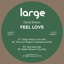 David Brown — Feel Love (Sherman Rogers Undergouund Mix)